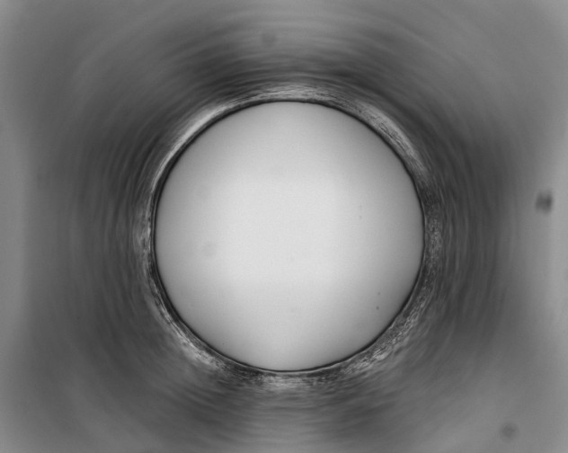 X0000099440852200805301449