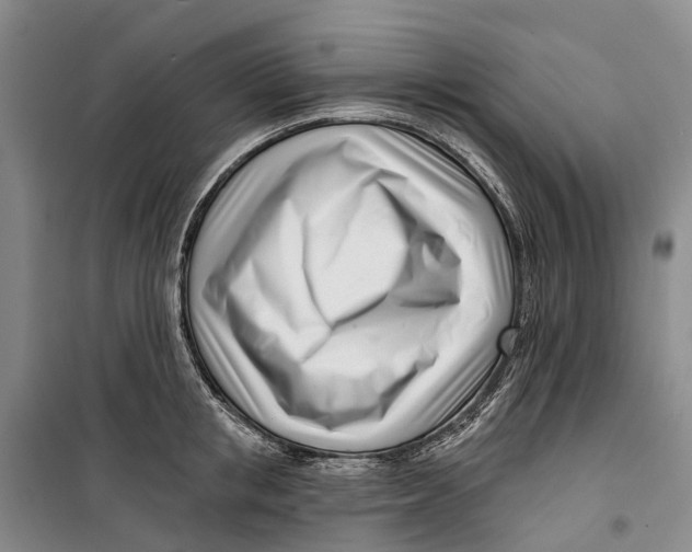 X0000099440853200805301449