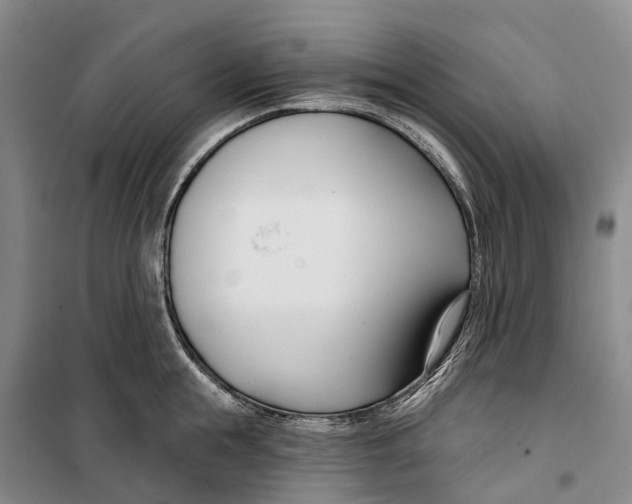 X0000099440855200805301449