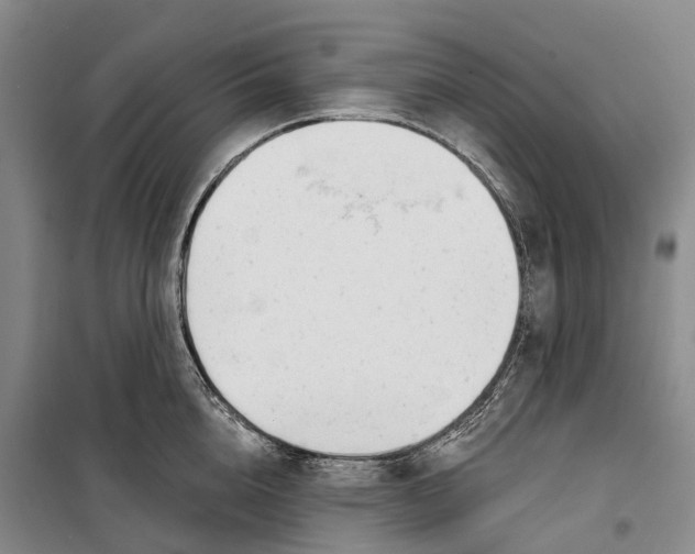 X0000099440856200805301449