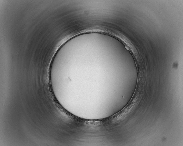X0000099440858200805301449