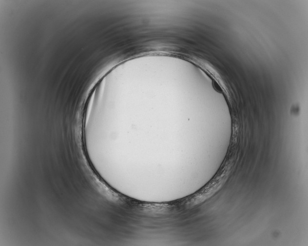 X0000099440859200805301449