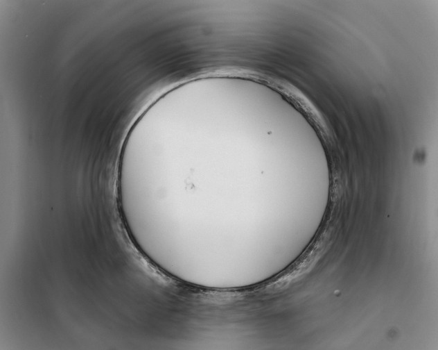 X0000099440860200805301449