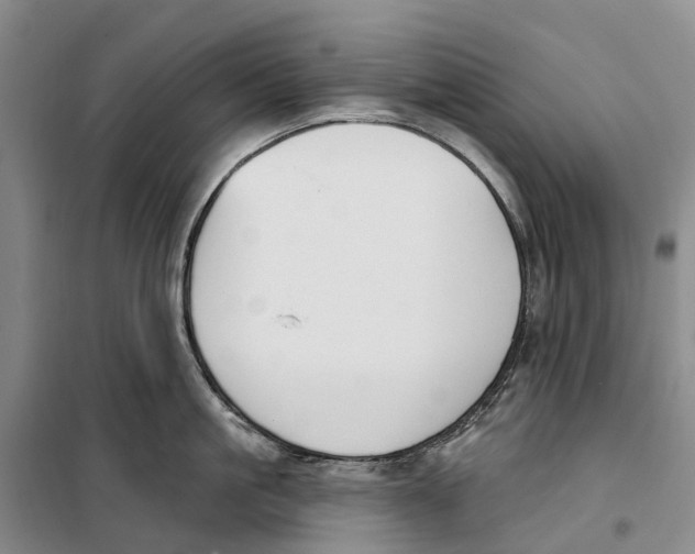 X0000099440861200805301449