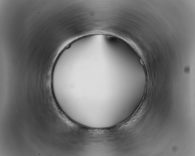 X0000099440862200805301449