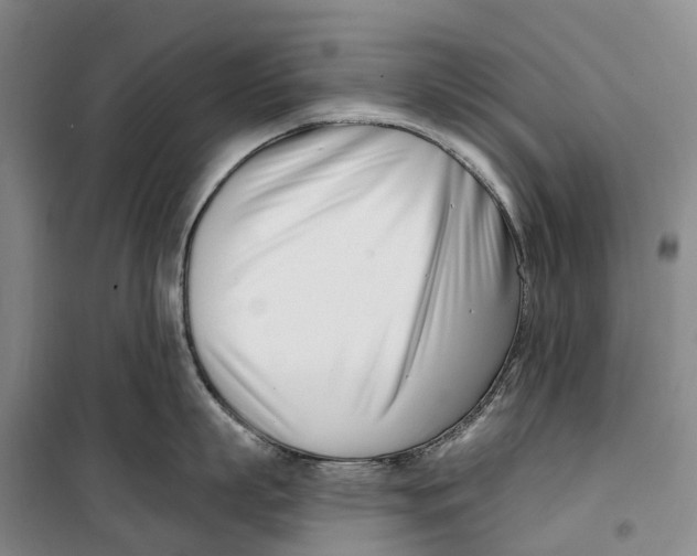 X0000099440863200805301449