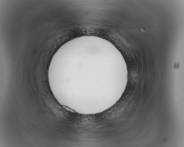 X0000099440865200805301449