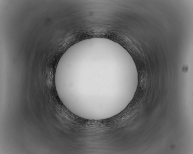 X0000099440866200805301449