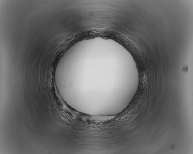 X0000099440868200805301449