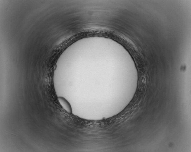 X0000099440869200805301449