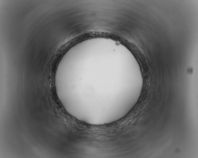 X0000099440870200805301449