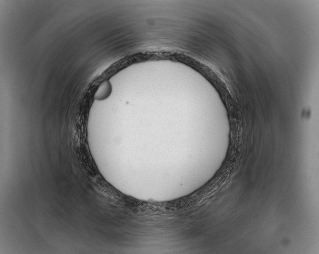 X0000099440871200805301448