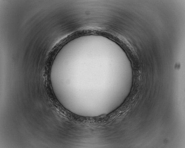X0000099440872200805301448