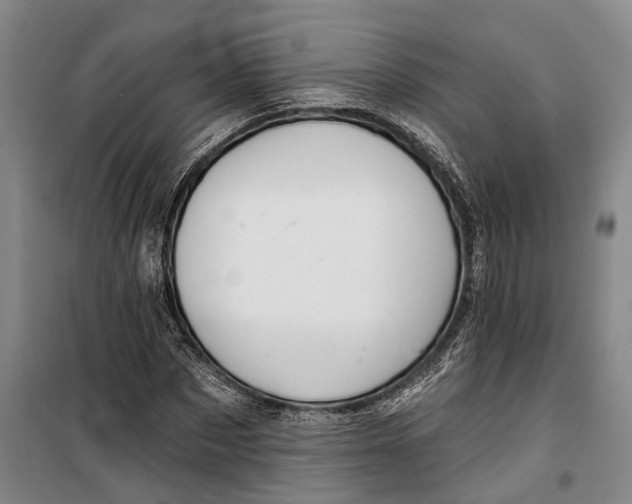 X0000099440873200805301448