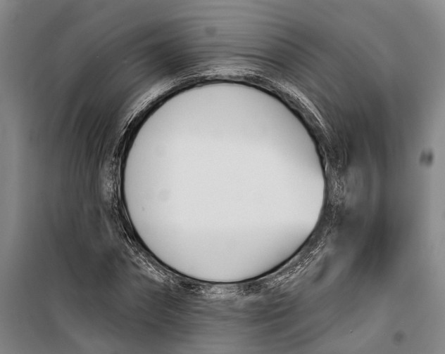 X0000099440874200805301448