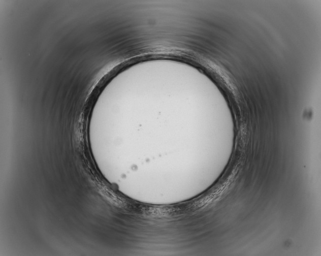 X0000099440875200805301448