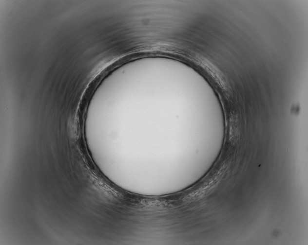 X0000099440876200805301448