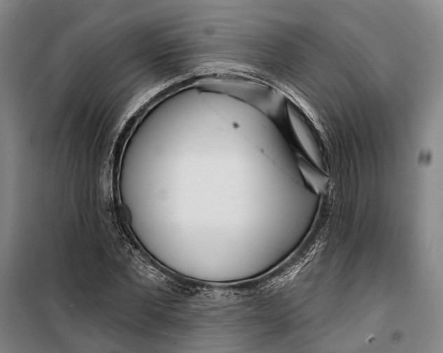 X0000099440877200805301448