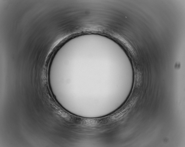 X0000099440878200805301448