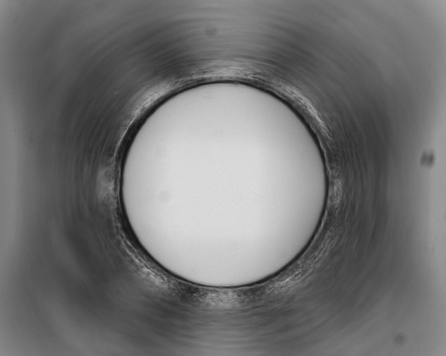 X0000099440882200805301448