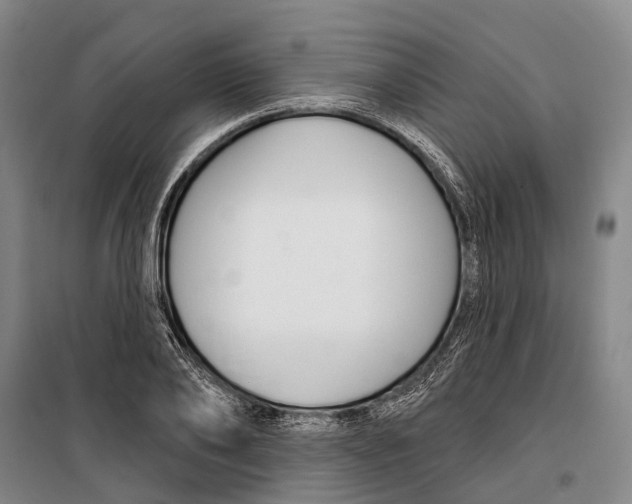 X0000099440886200805301448
