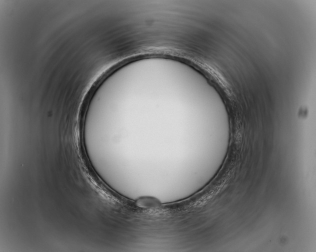 X0000099440888200805301448