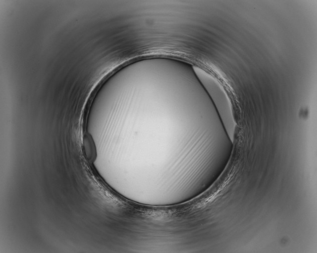 X0000099440892200805301448