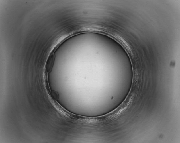 X0000099440893200805301448
