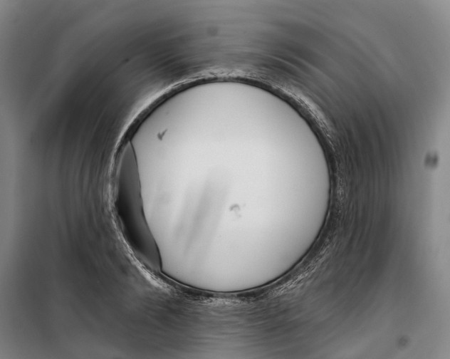 X0000099440894200805301448
