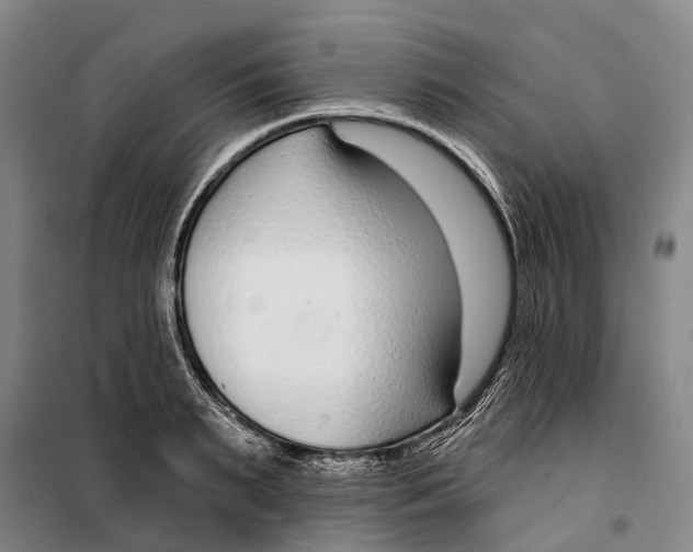 X0000099440895200805301448