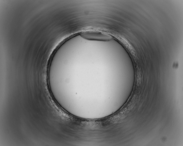 X0000099440896200805301448