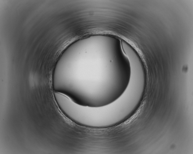 X0000099440897200805301448