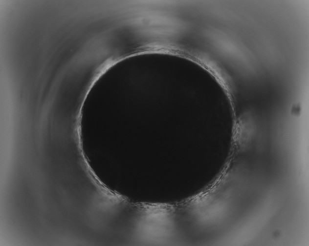 X0000099440899200805301448