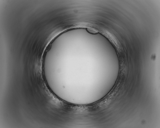 X0000099440900200805301448