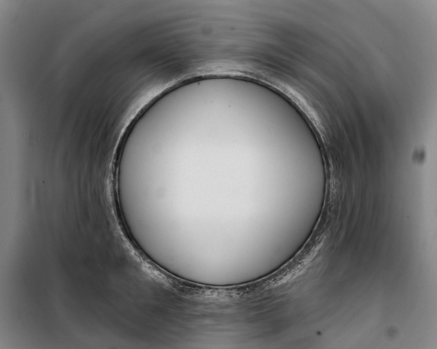 X0000099440901200805301448