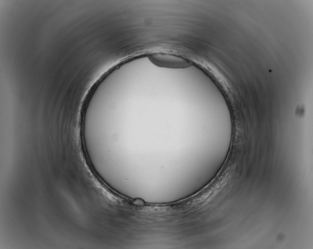 X0000099440902200805301448