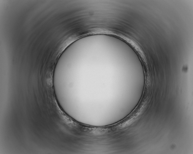 X0000099440905200805301448
