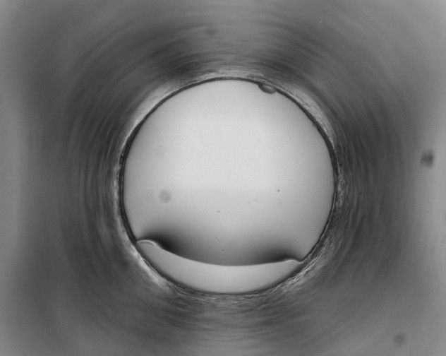 X0000099440906200805301448