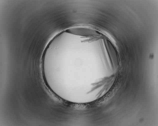 X0000099440907200805301448