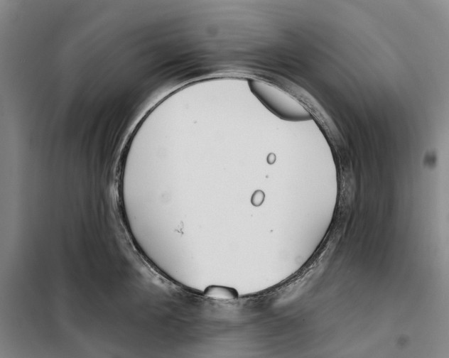 X0000099440908200805301448