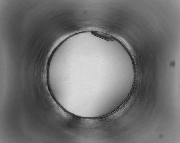X0000099440910200805301448