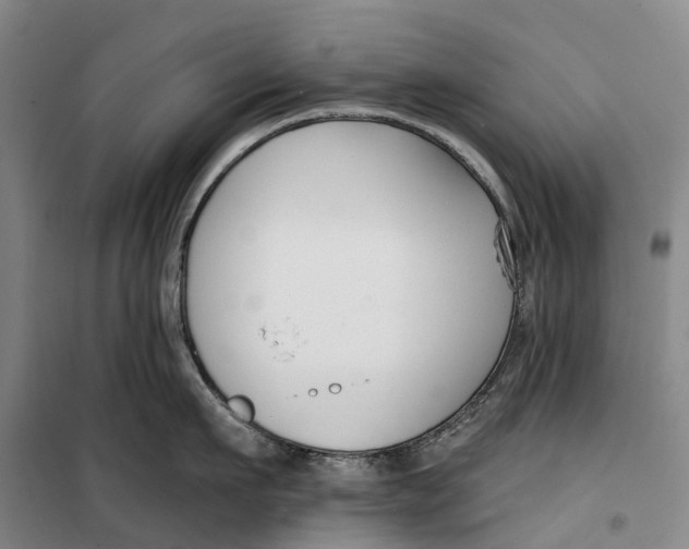 X0000099440911200805301448