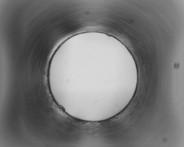 X0000099440912200805301448