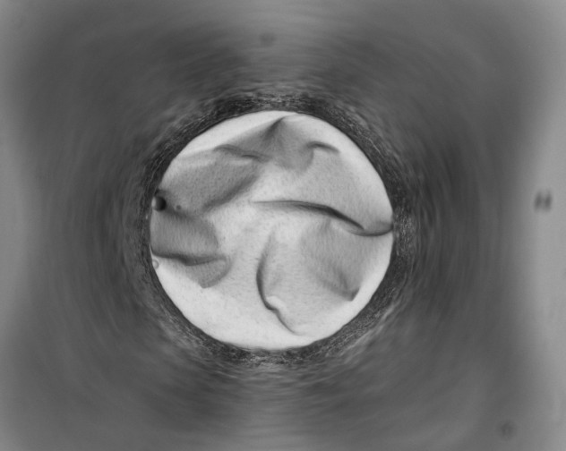 X0000099440913200805301447
