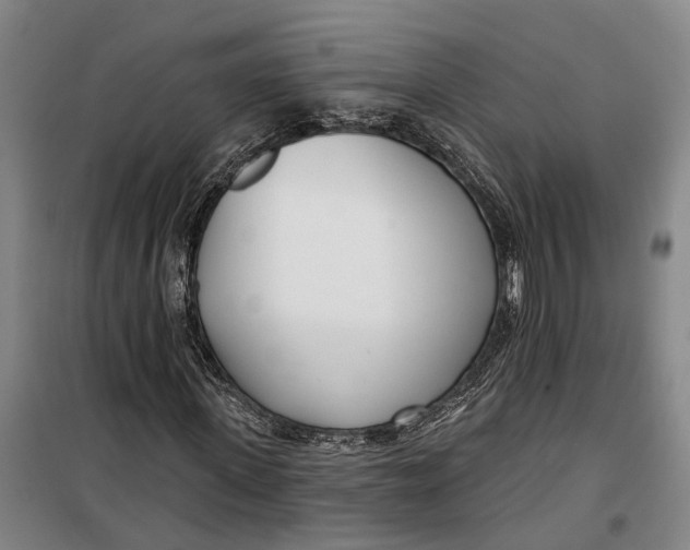 X0000099440915200805301447