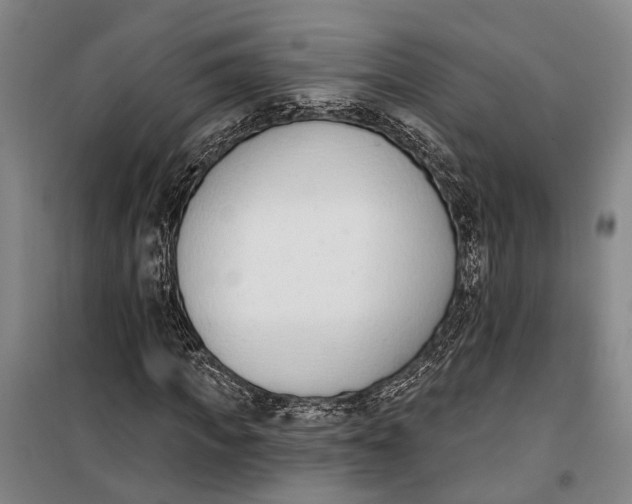 X0000099440917200805301447