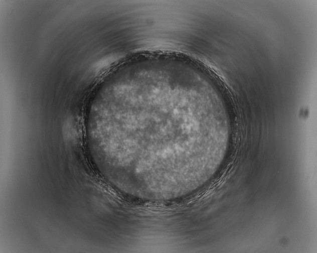 X0000099440918200805301447