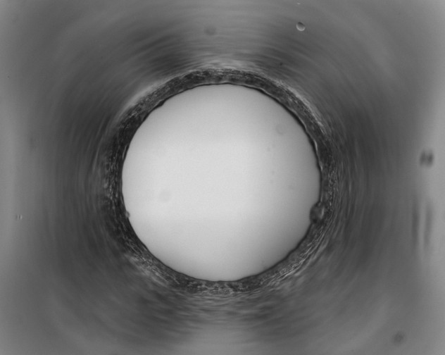 X0000099440919200805301447