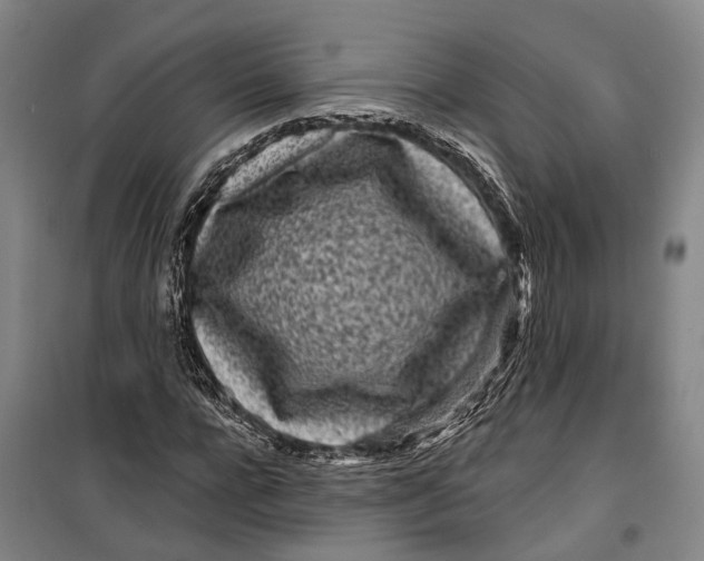 X0000099440920200805301447