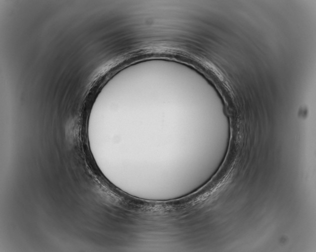 X0000099440922200805301447